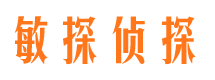 灌南市私家侦探